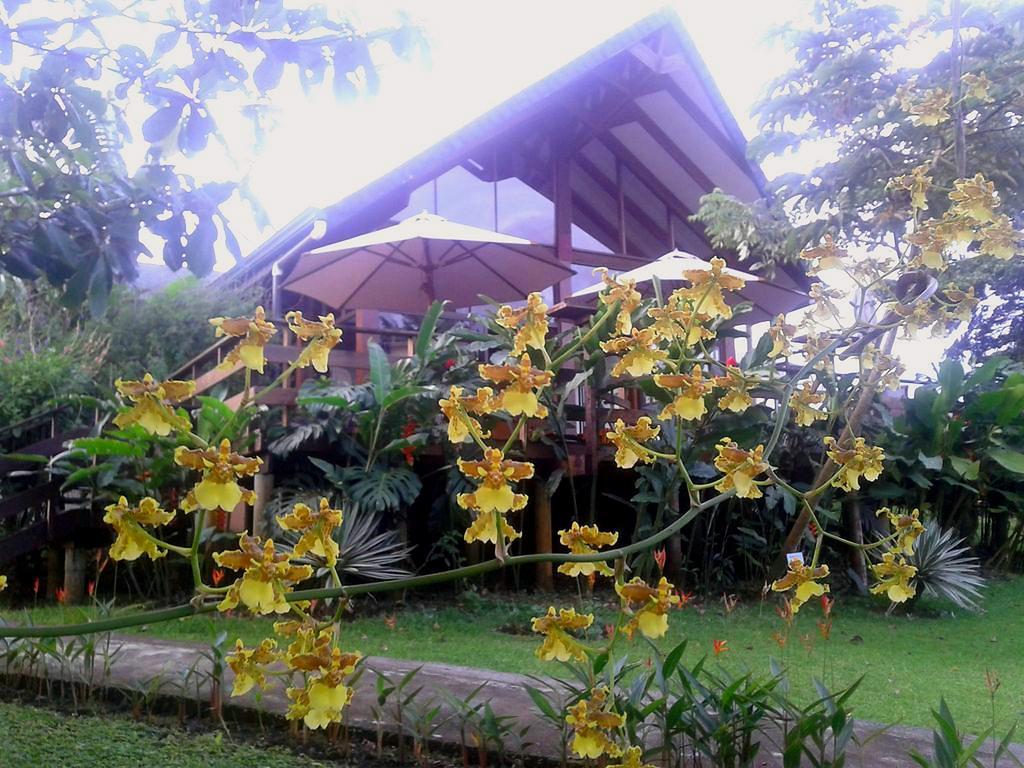 Tenorio Lodge Bijagua Exterior photo